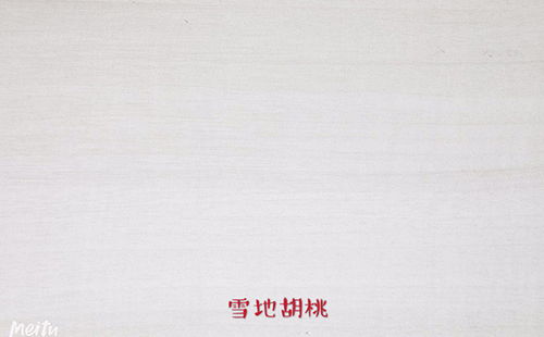 中国杉木生态板十.大板材家装知名品 牌